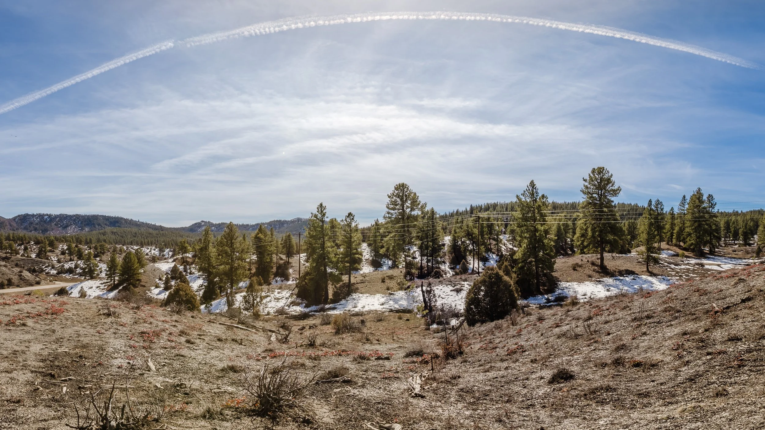 230 Kristina Ct-10.jpg