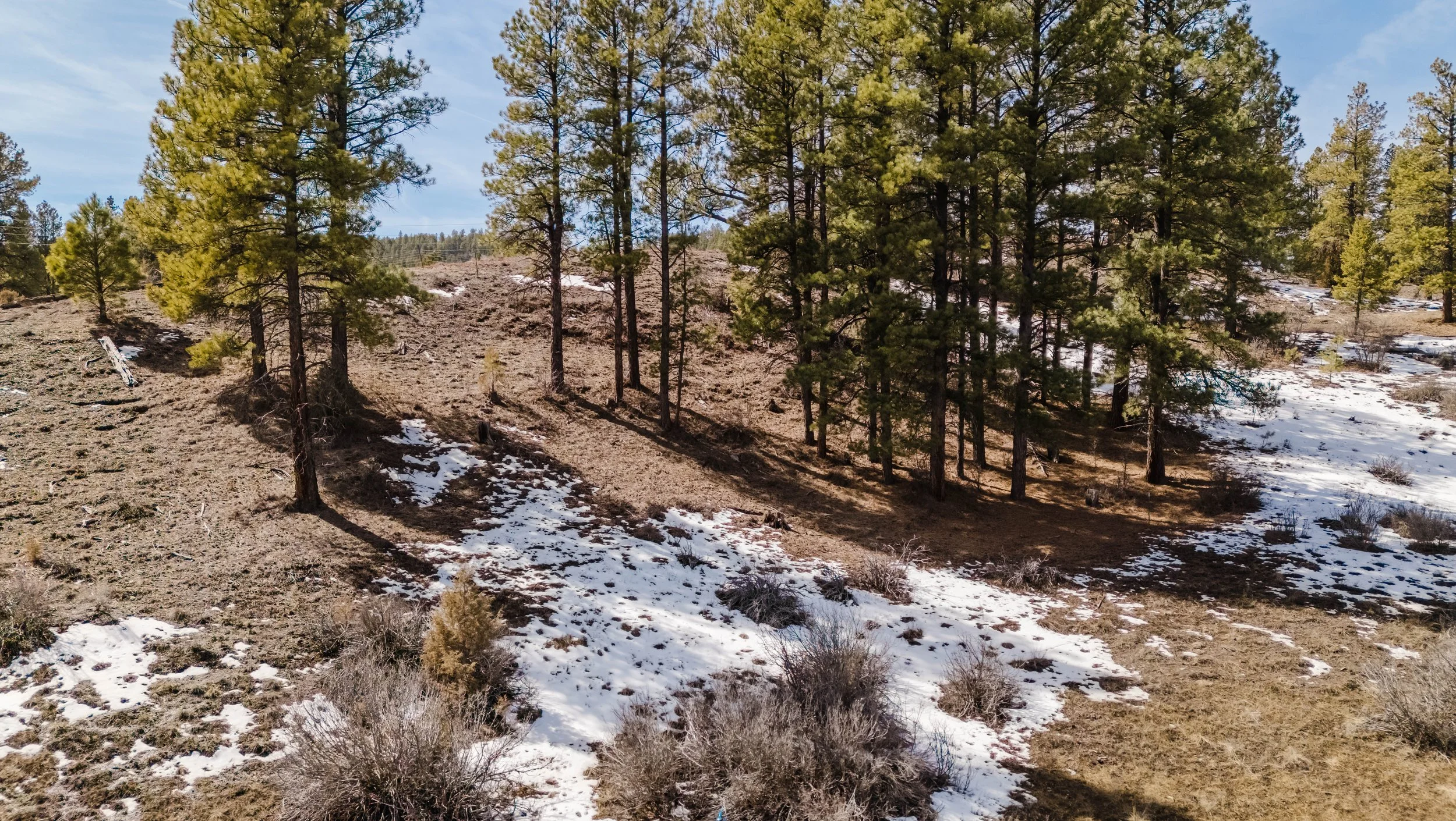 230 Kristina Ct-41.jpg