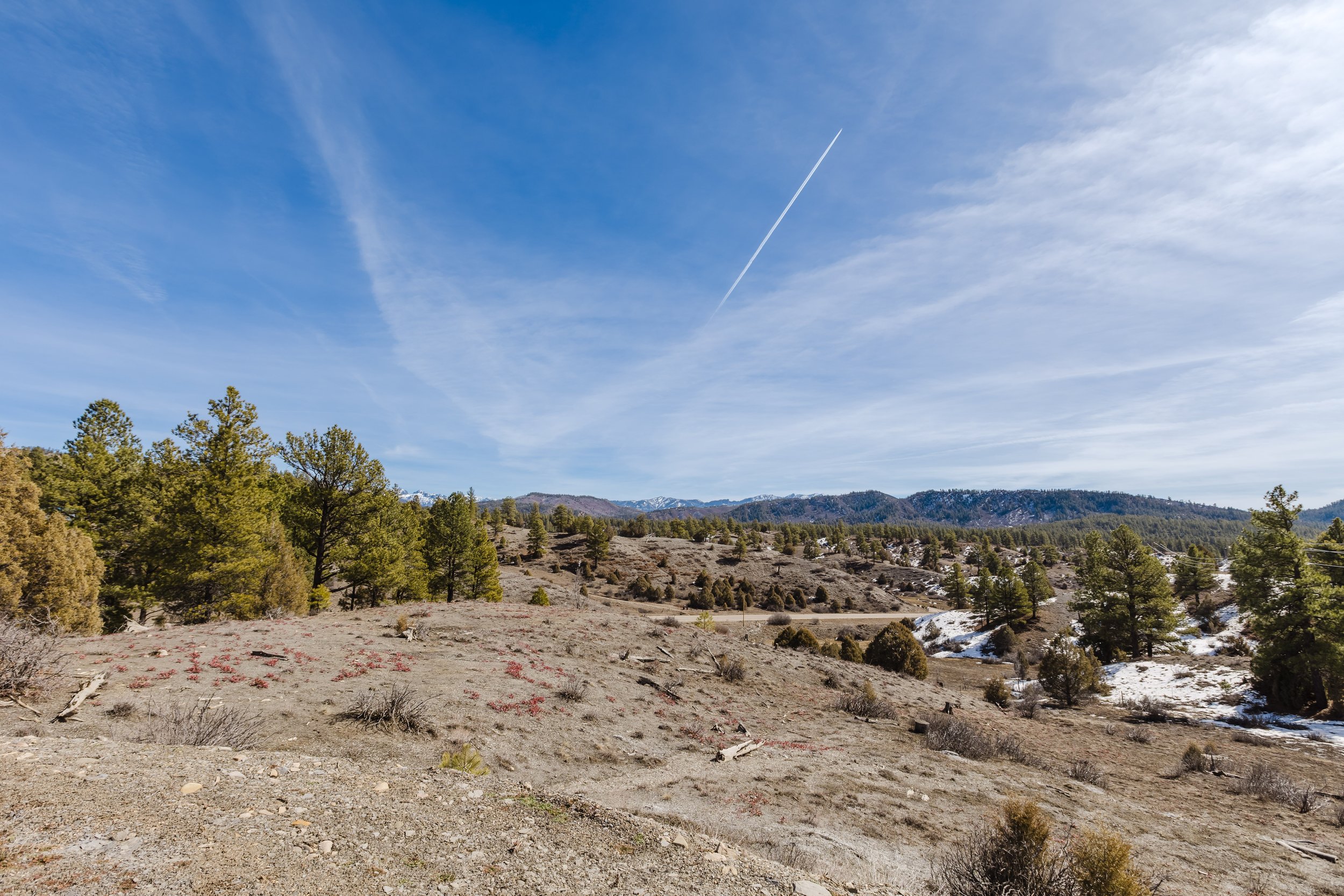 230 Kristina Ct-1.jpg