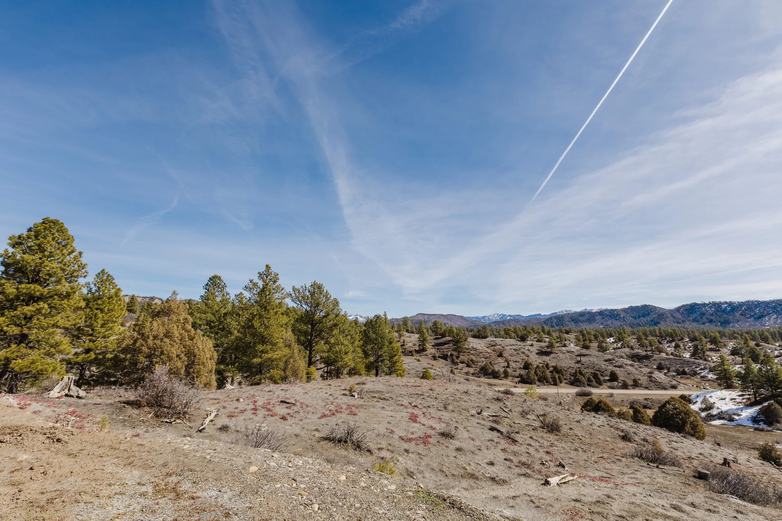 230 Kristina Ct-4.jpg