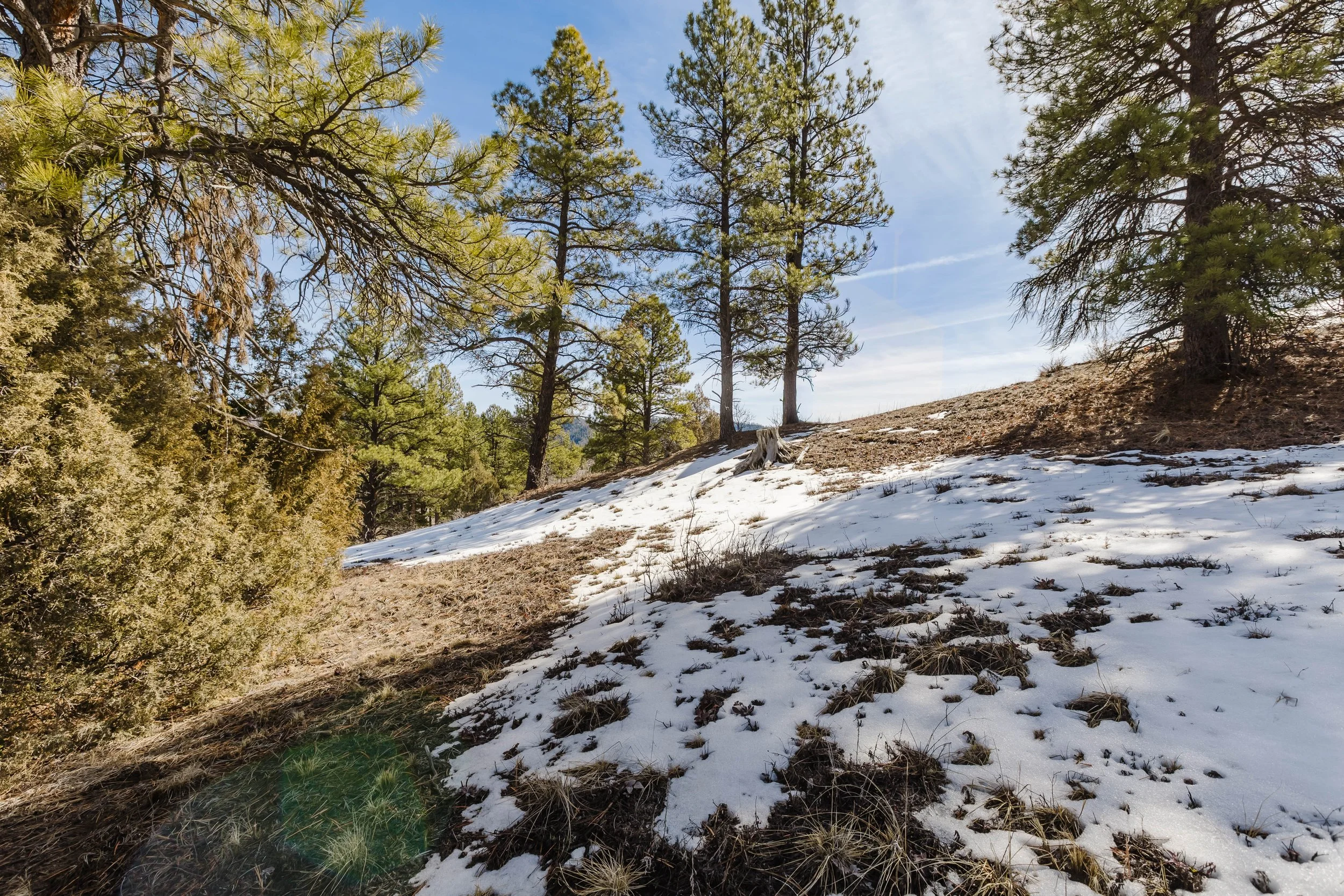 230 Kristina Ct-26.jpg