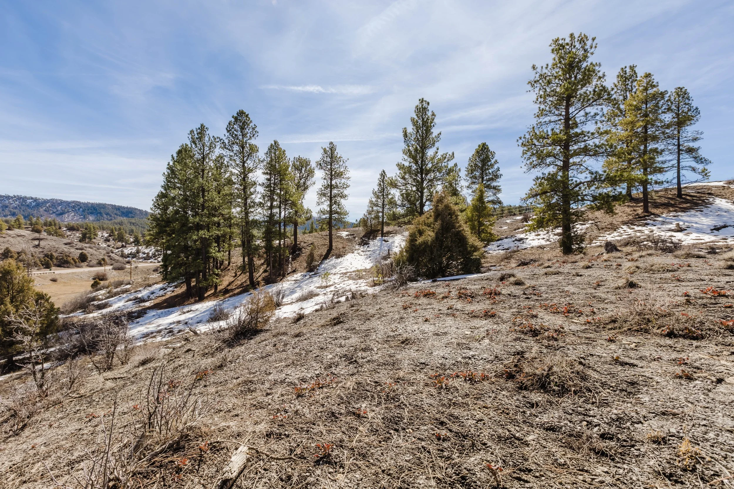 230 Kristina Ct-17.jpg