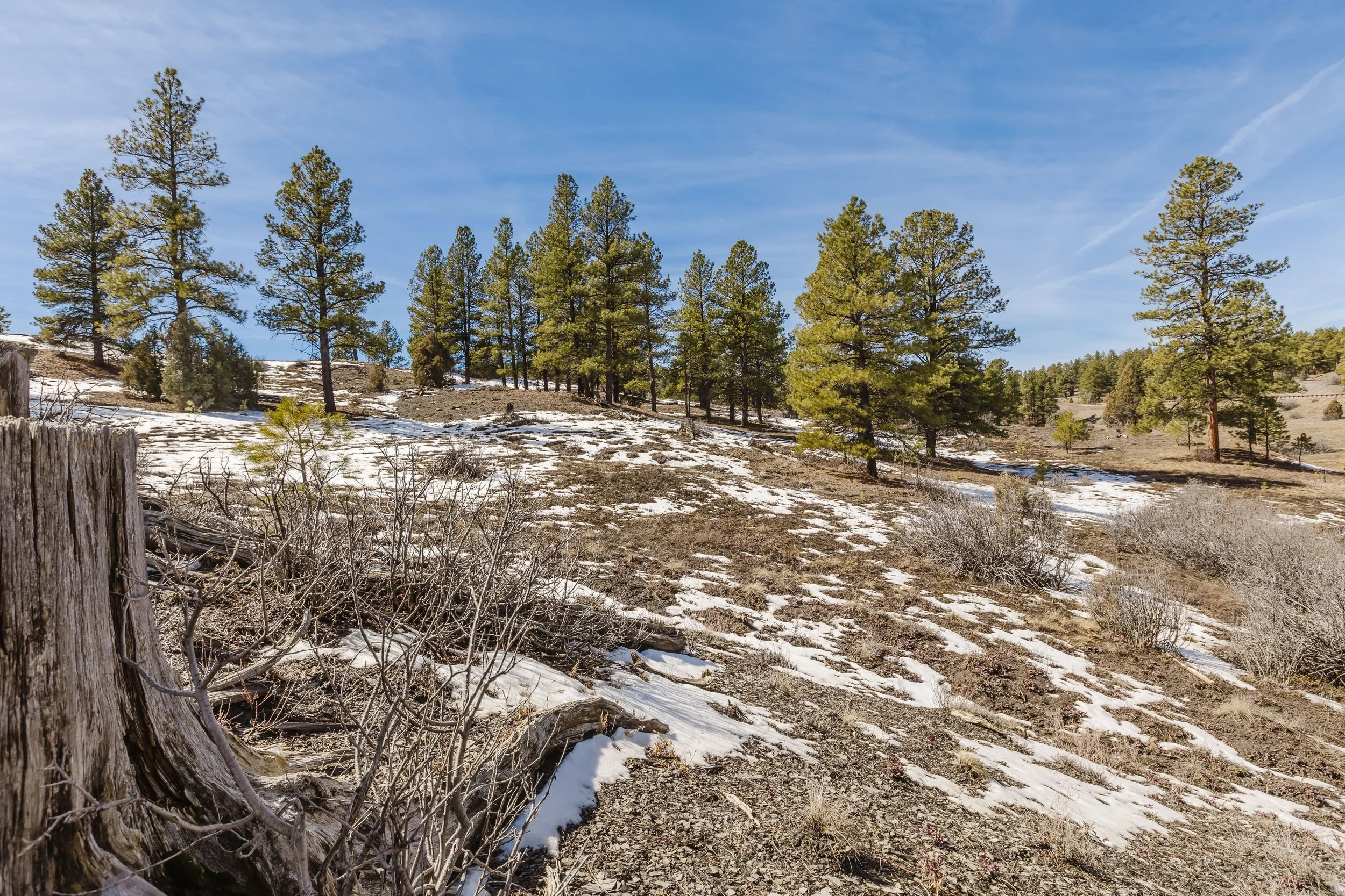 230 Kristina Ct-21.jpg