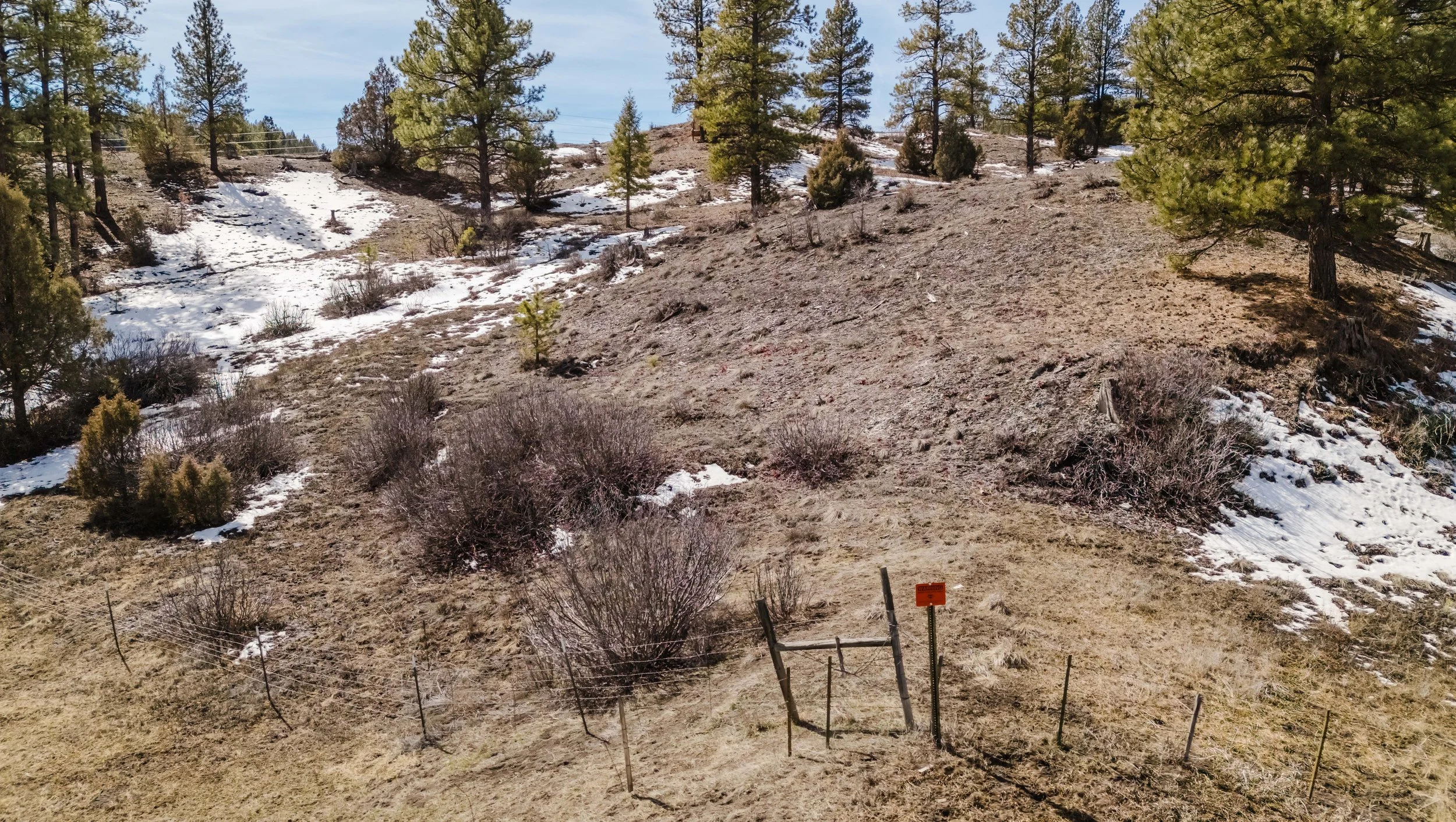 230 Kristina Ct-38.jpg