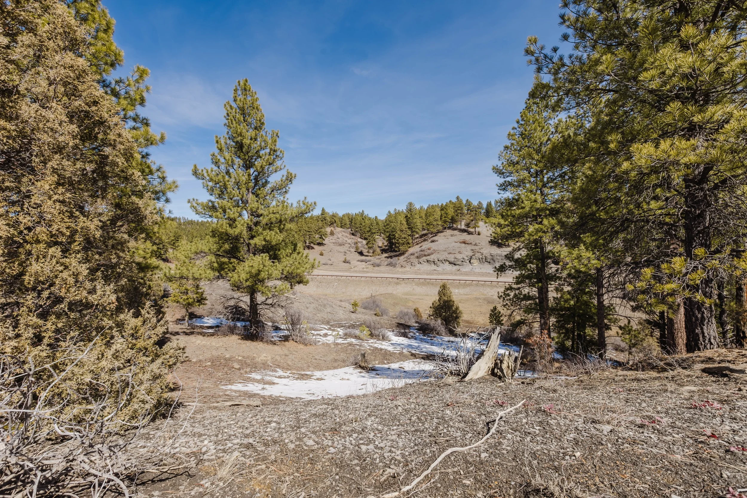 230 Kristina Ct-13.jpg