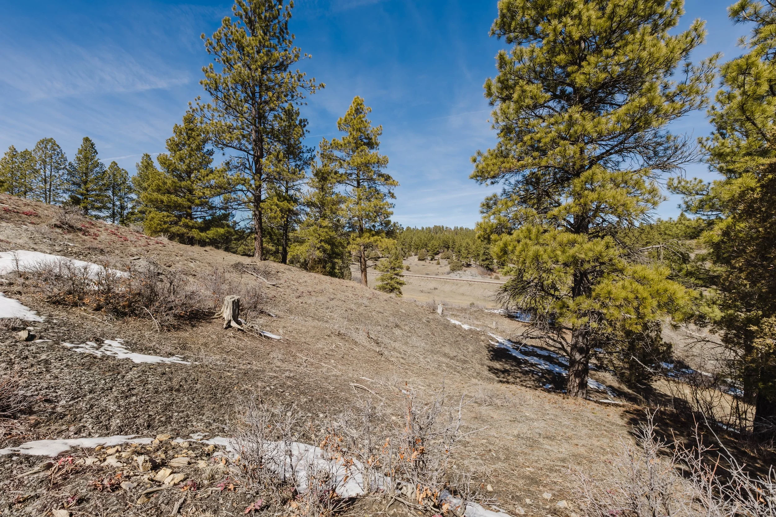 230 Kristina Ct-15.jpg