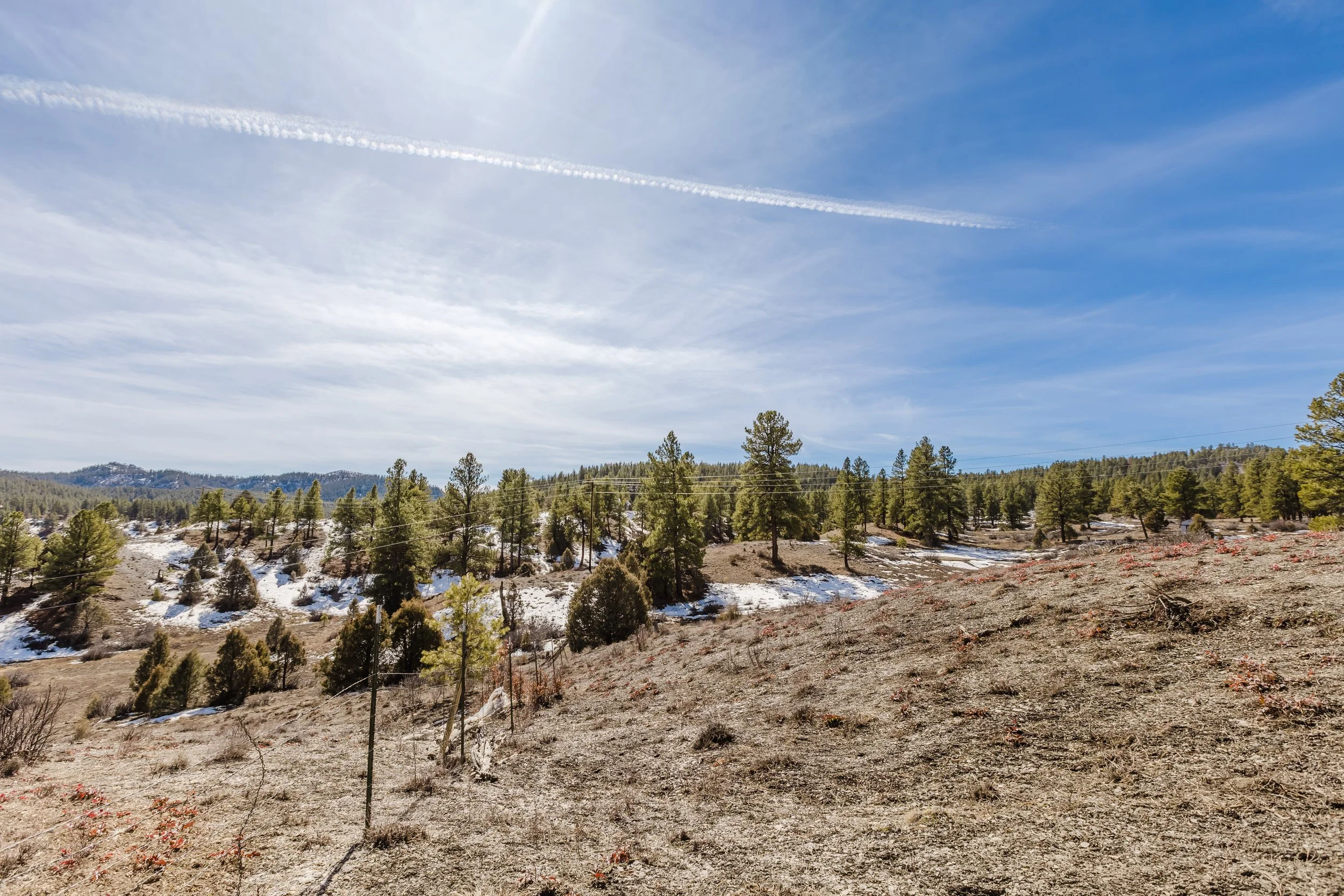 230 Kristina Ct-11.jpg