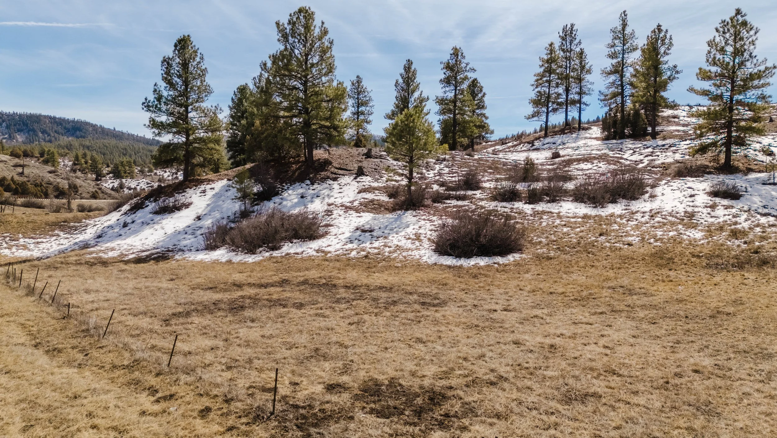 230 Kristina Ct-39.jpg