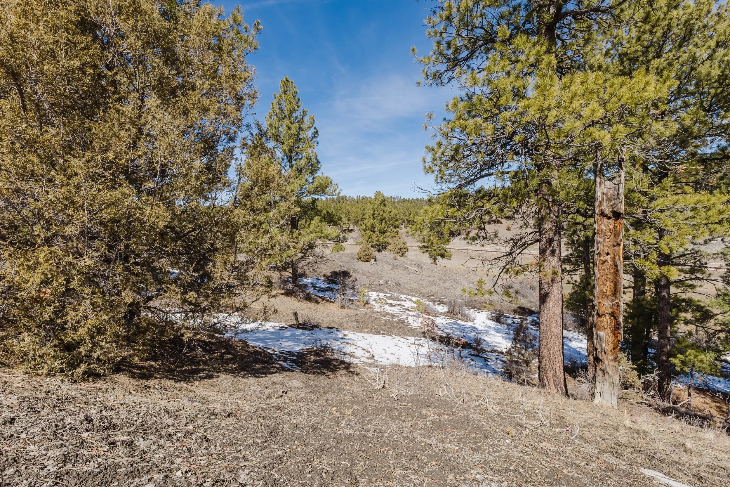 230 Kristina Ct-12.jpg