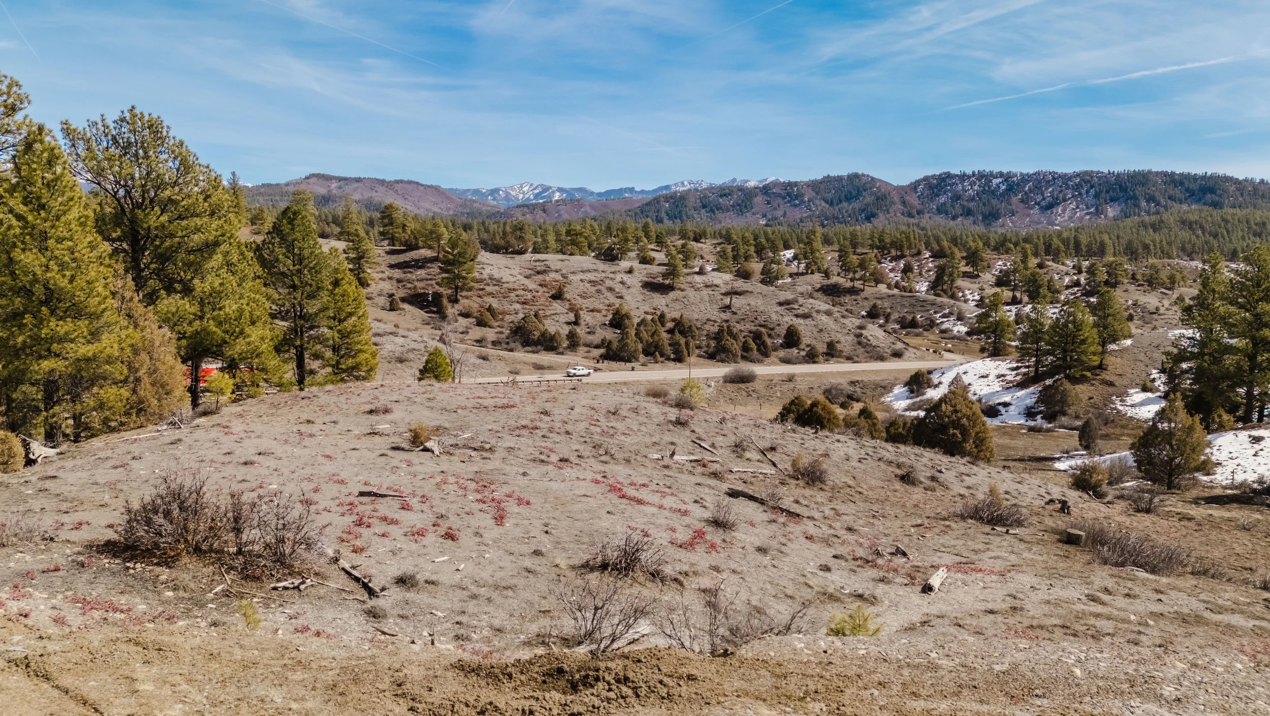 230 Kristina Ct-46.jpg