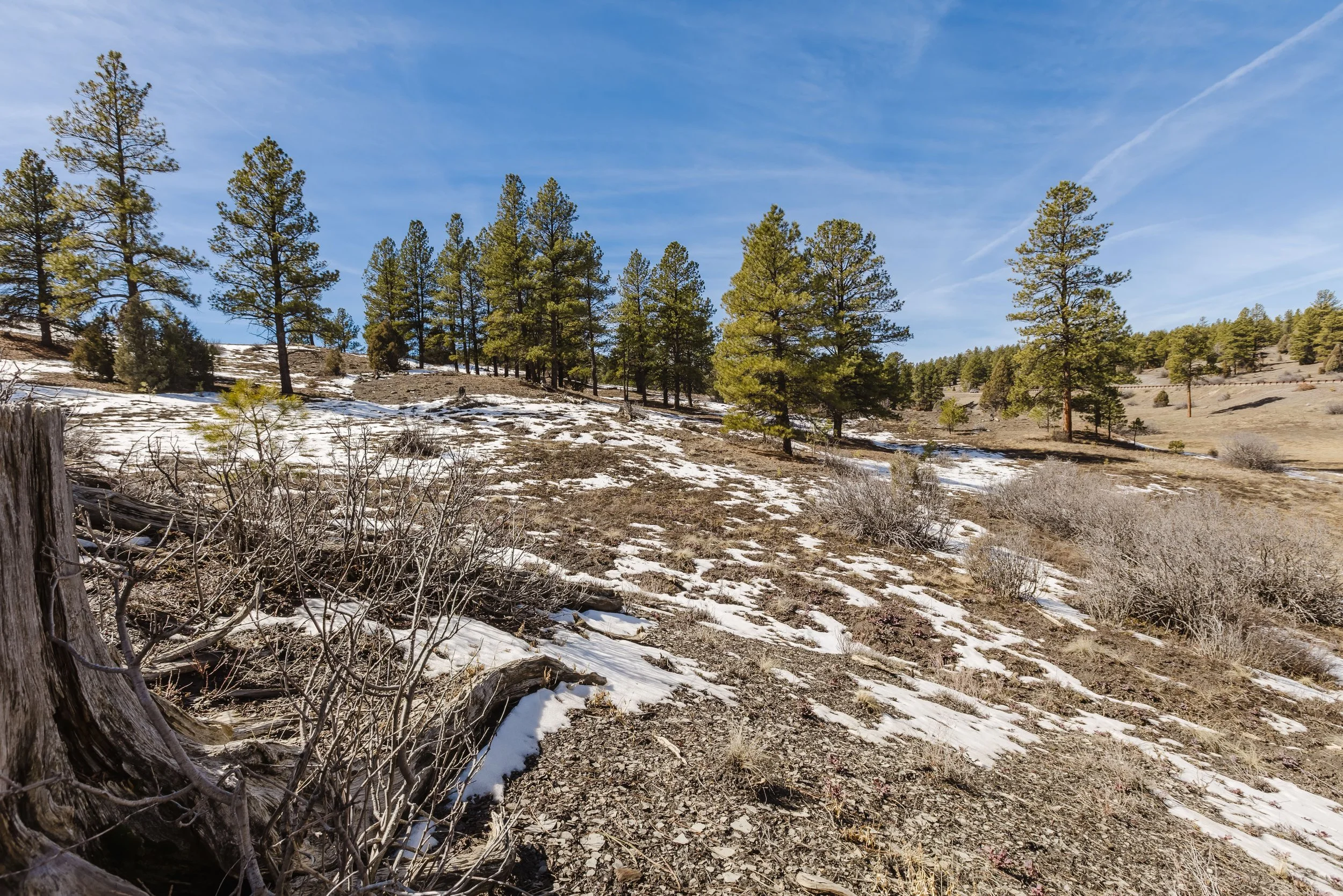 230 Kristina Ct-20.jpg