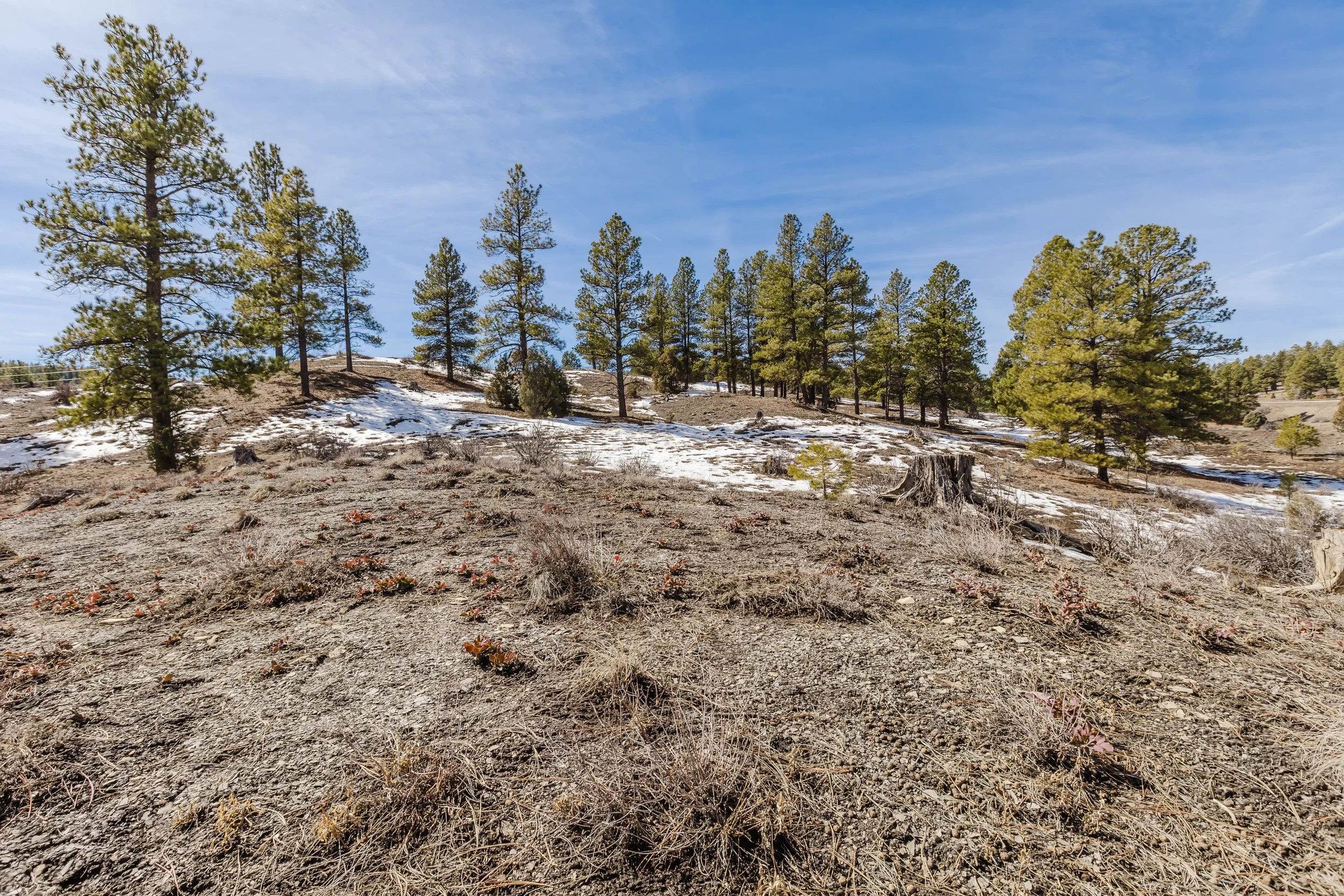 230 Kristina Ct-19.jpg