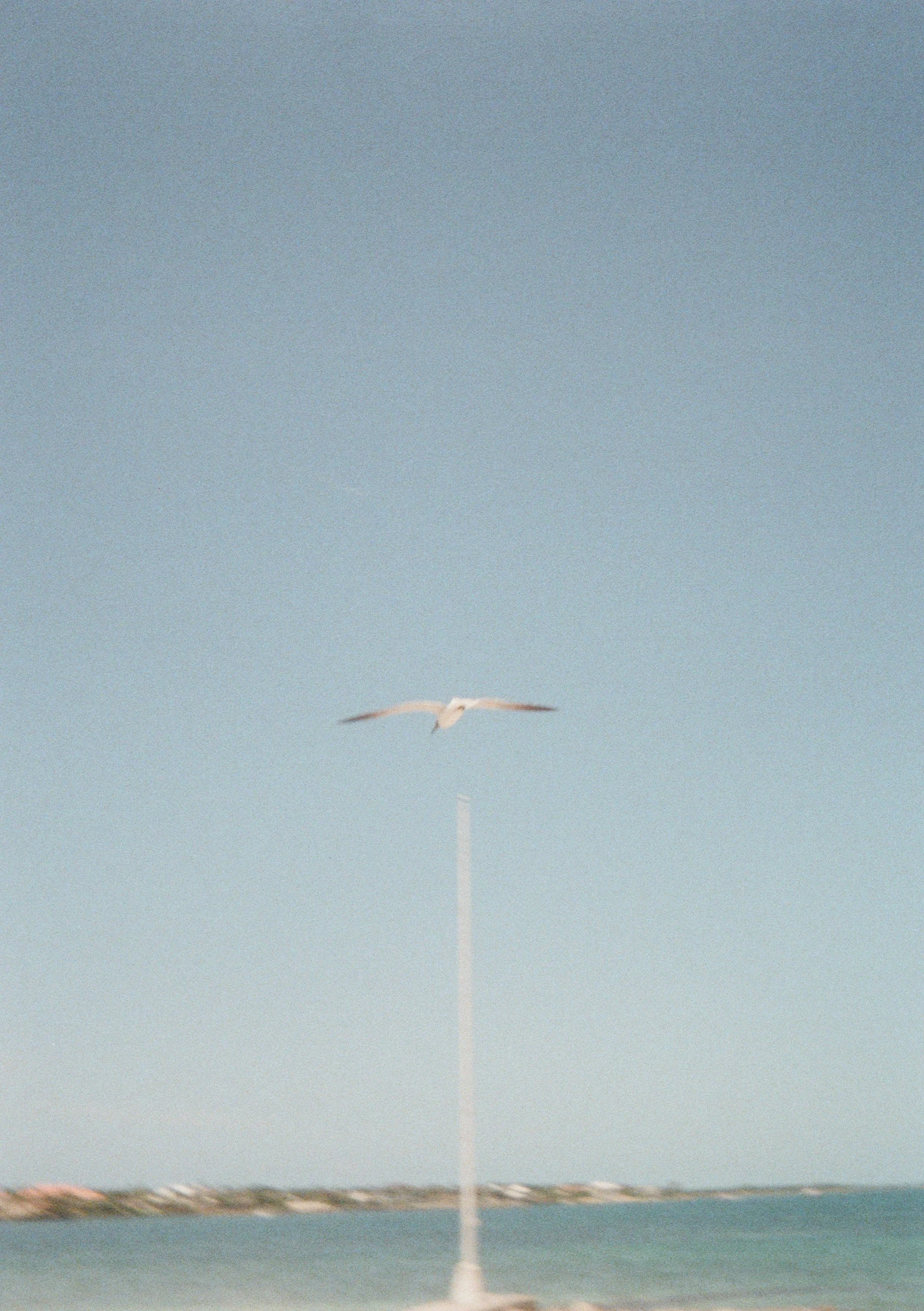 000011730015.jpg