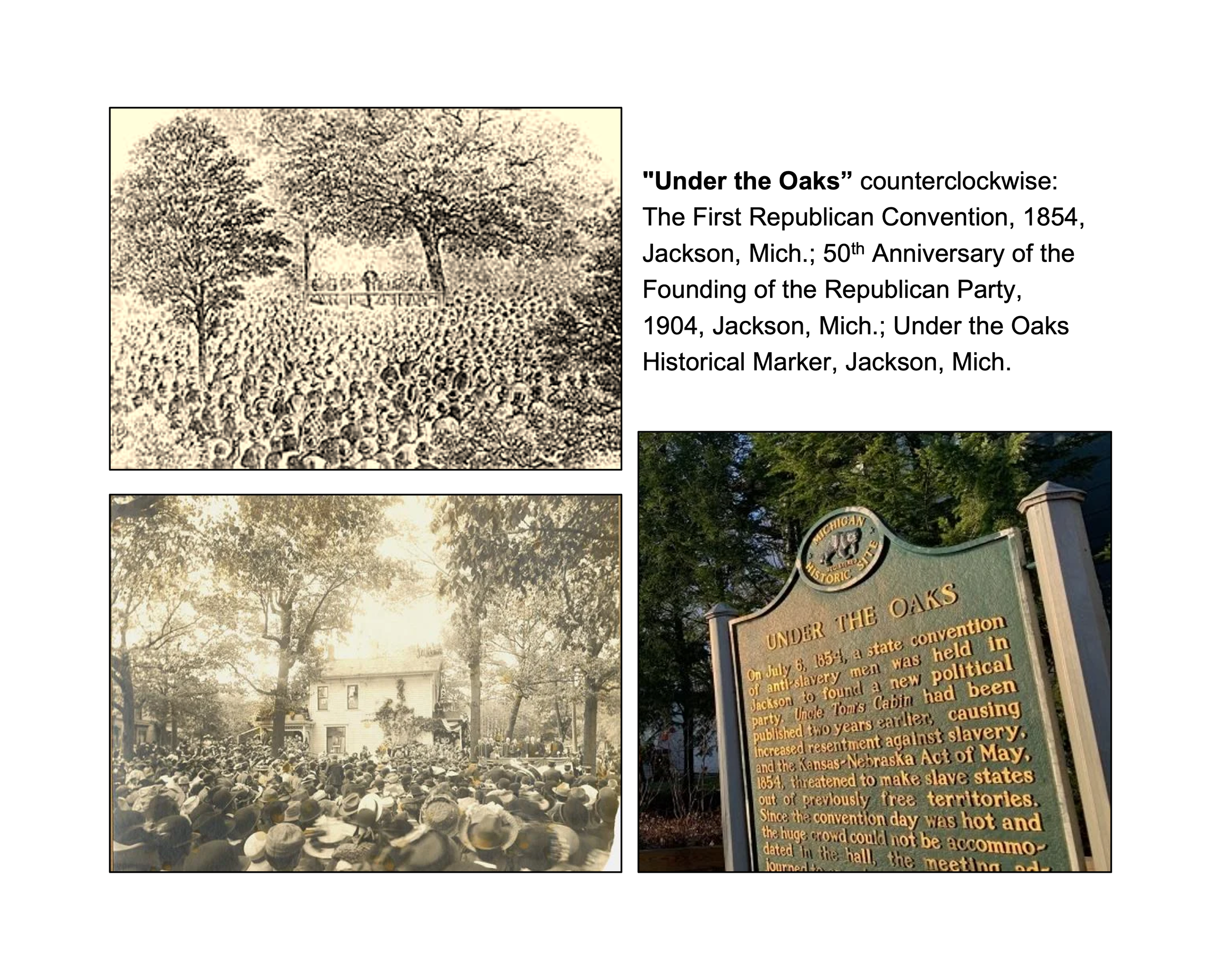 Birthplace of the Republican Party: Michigan