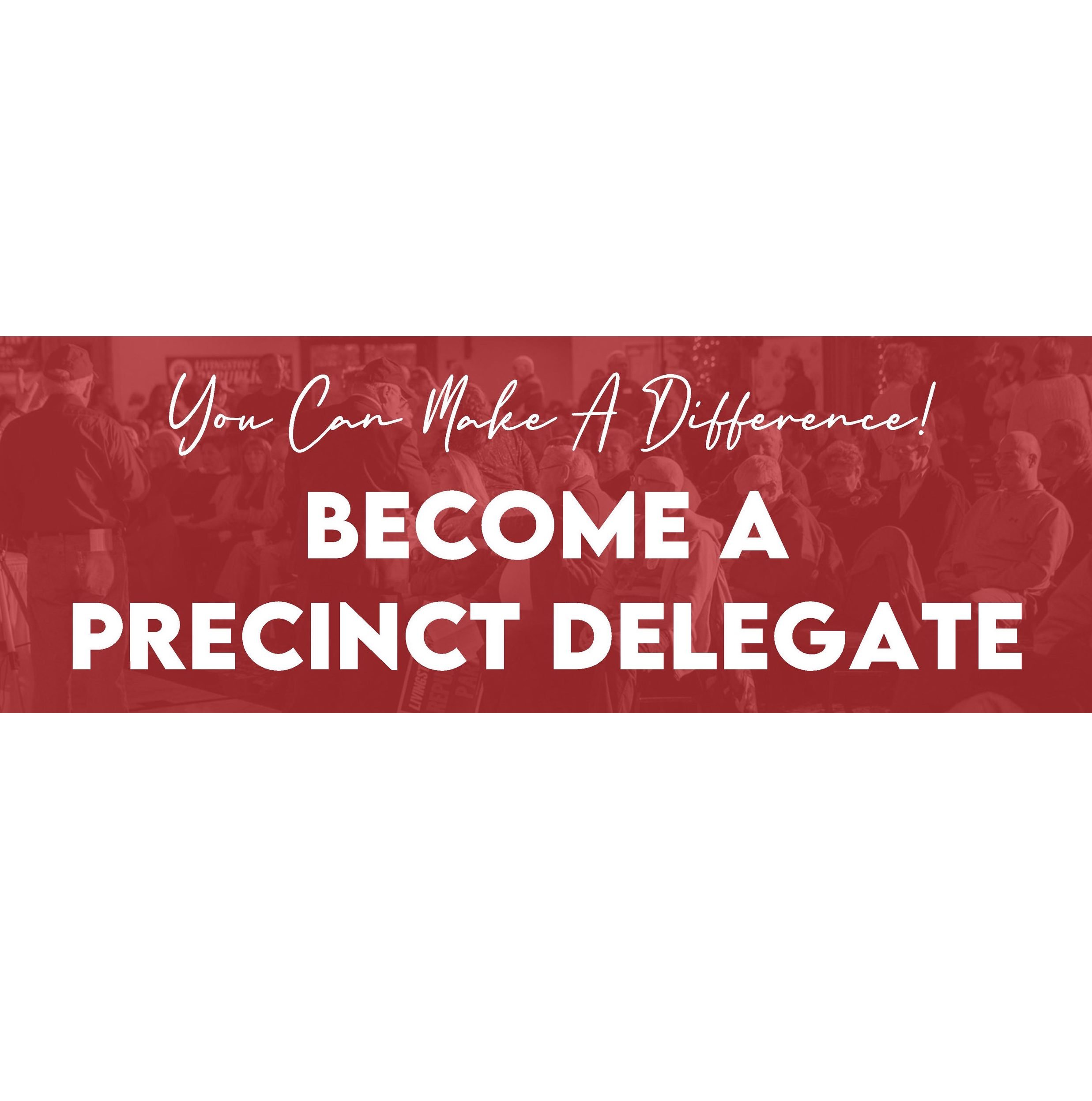 Precinct Delegates Make a Difference