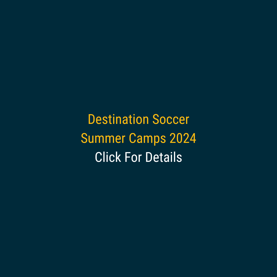 Copy of Untitled Design (2).png