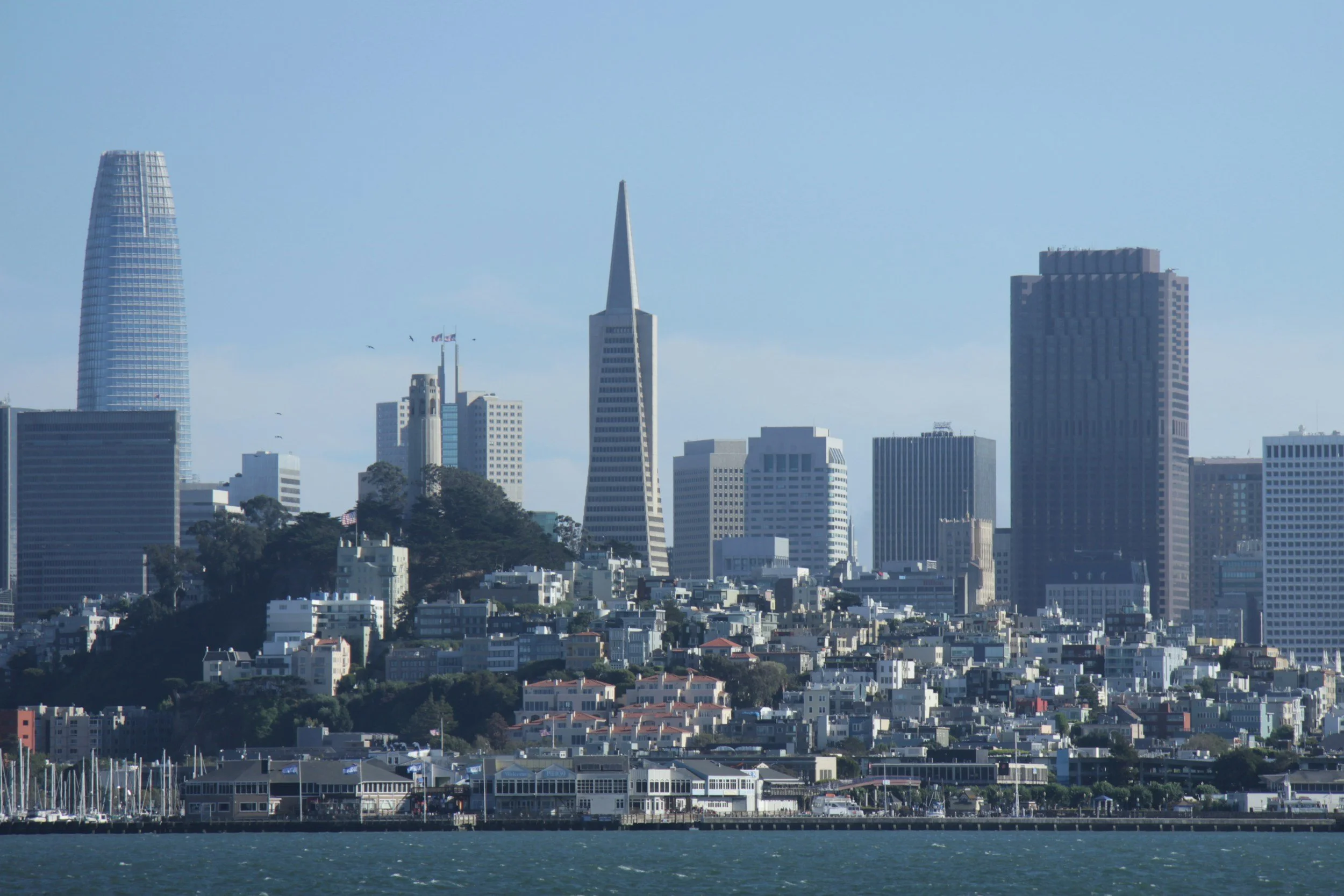 From Hype to Impact: How AI Is Accelerating Climate Solutions