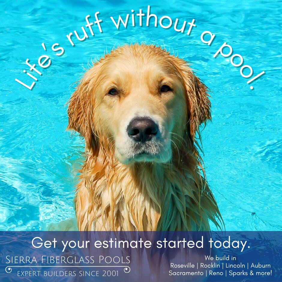 Our fiberglass pools are loved by dogs (and humans too, of course)! Get your backyard ready for summer. Financing options are available!

#sierrafiberglasspools #lincolnca #rosevilleca #auburnca #poolside #pools #rocklinca #poolseason #fiberglasspool
