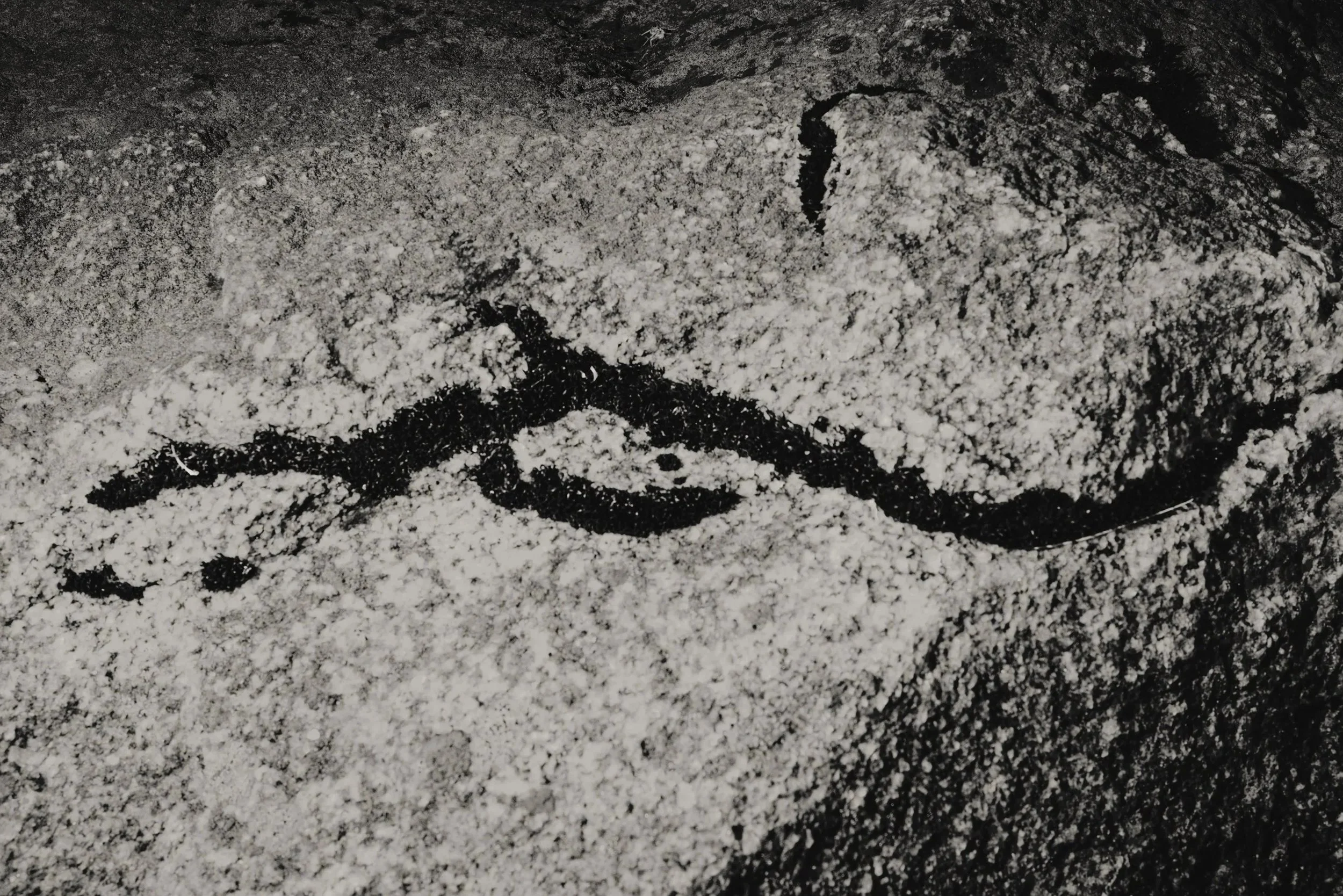 High-contrast black-and-white rock surface with a branching dark fissure, emphasizing fracture, erosion, and concealed structure.