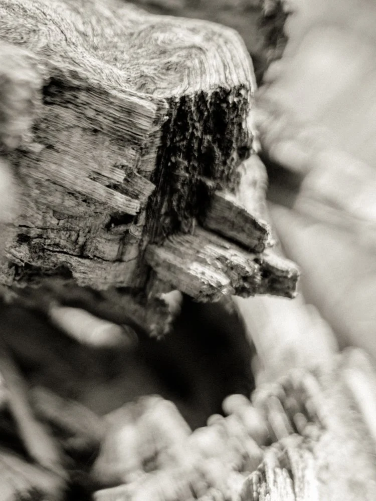 _DSC7223- PSD- 2K-1K.jpg