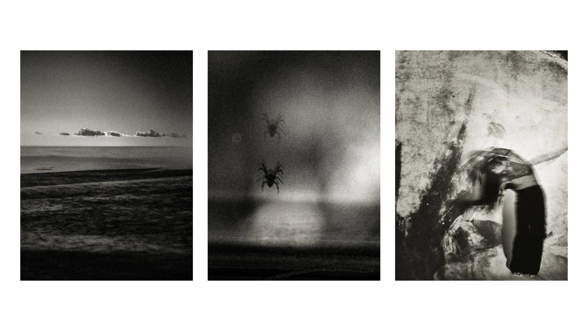 Triptych-style black-and-white fine art composition combining a minimalist seascape, spider silhouettes on a blurred horizon, and an abstract human figure—linking ocean vastness with fragile, filament-like connection.