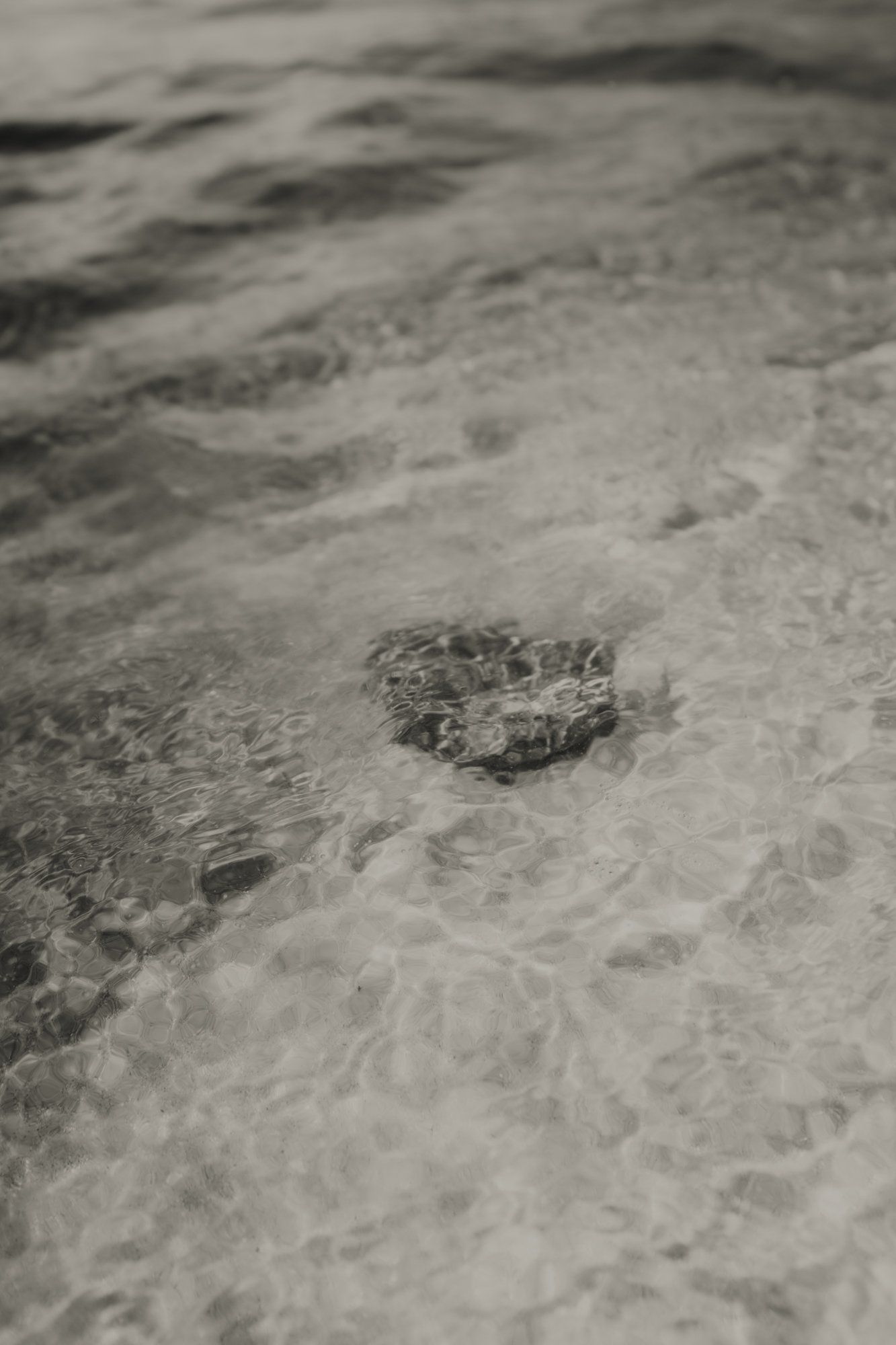 _DSF7660- COLLOID01-2-2K.jpg