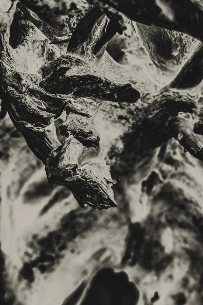 _DSC7283- PSD NEW- 2K-WARMTONE-1K.jpg