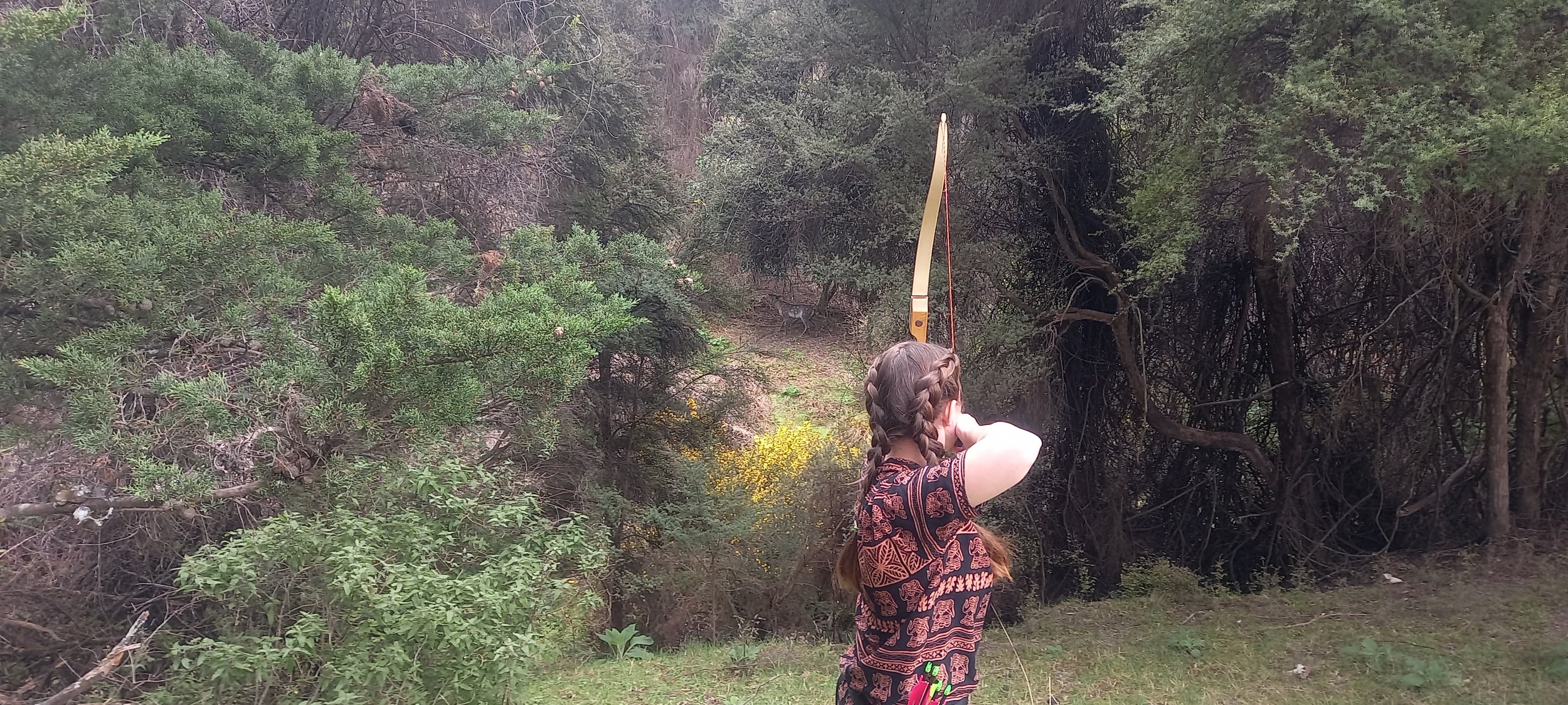 Gallery 1 — Canterbury Archers' Society Incorporated