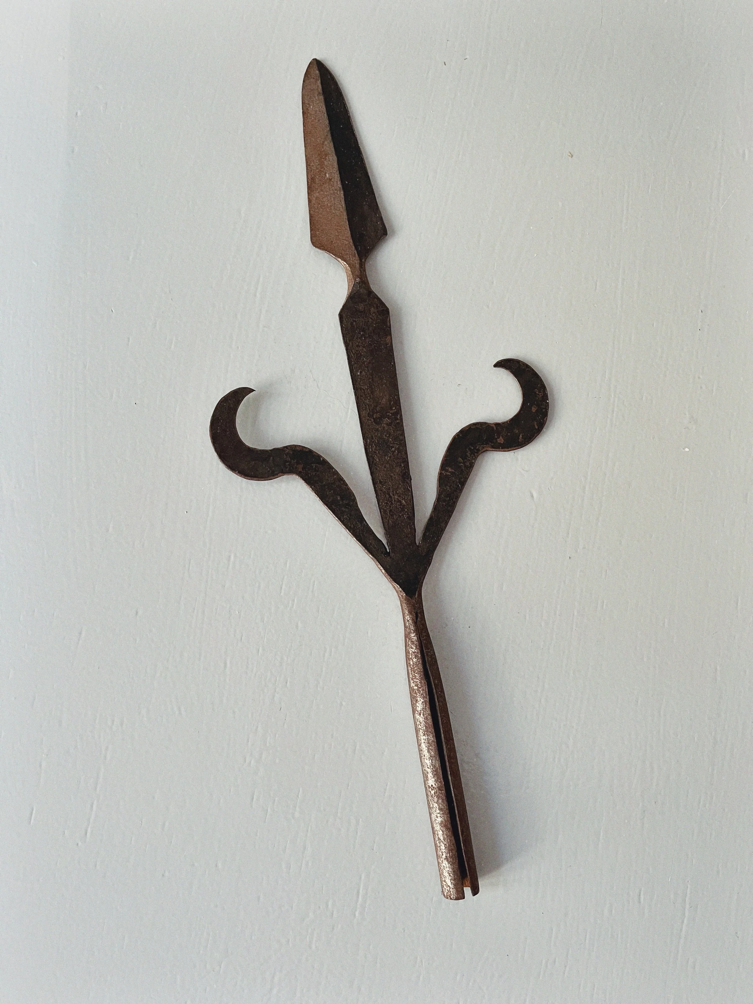 IMG_9727_Afterlight 2.JPG