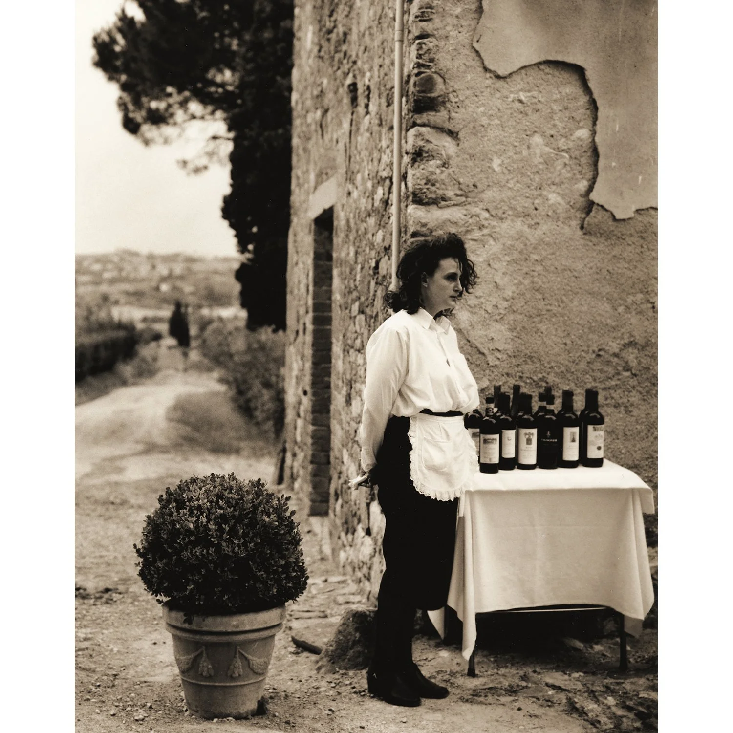 Wine + Food Tastings
