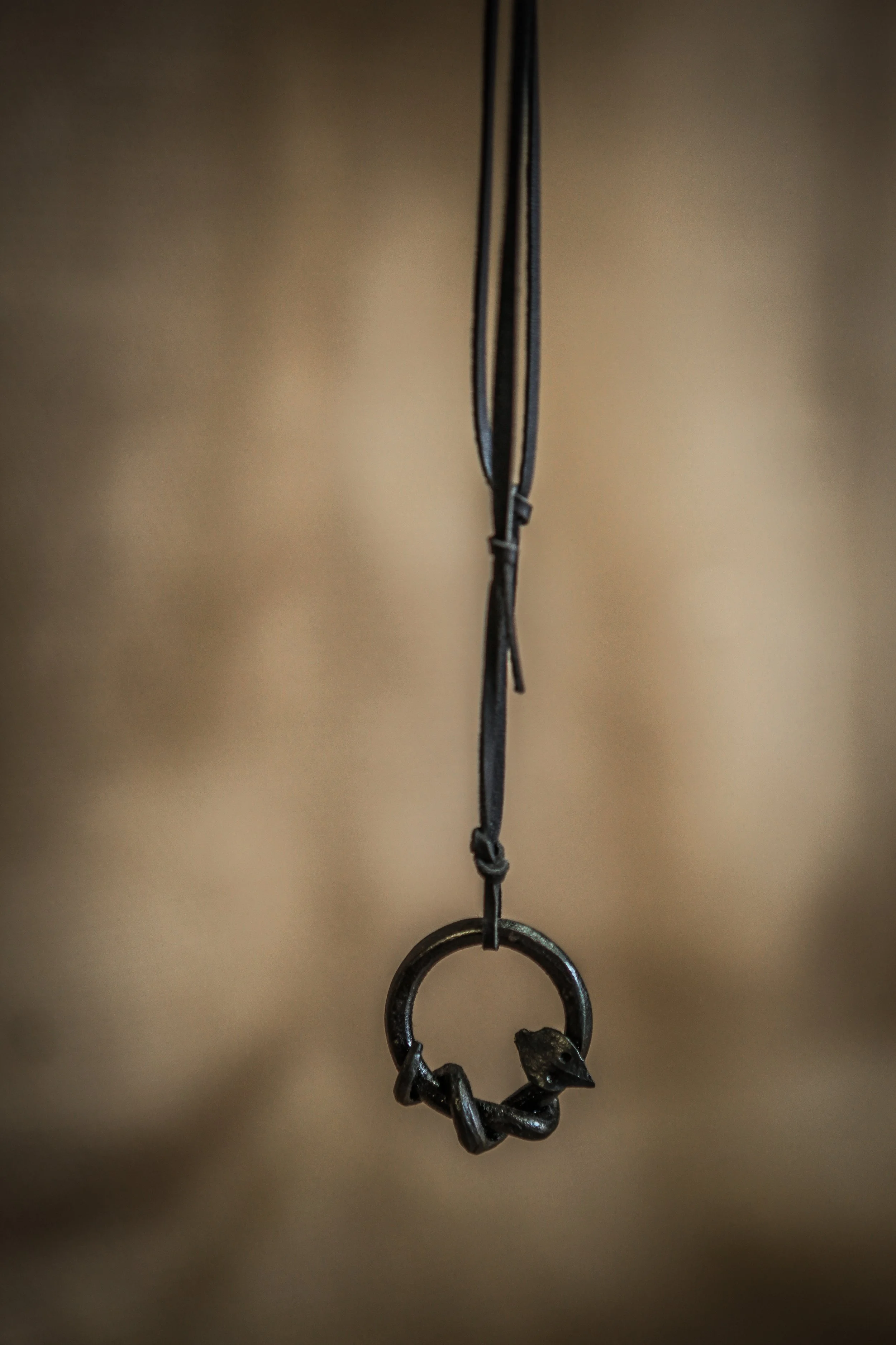 kaulakoru 5 (2020_12_21 14_05_42 UTC).JPG