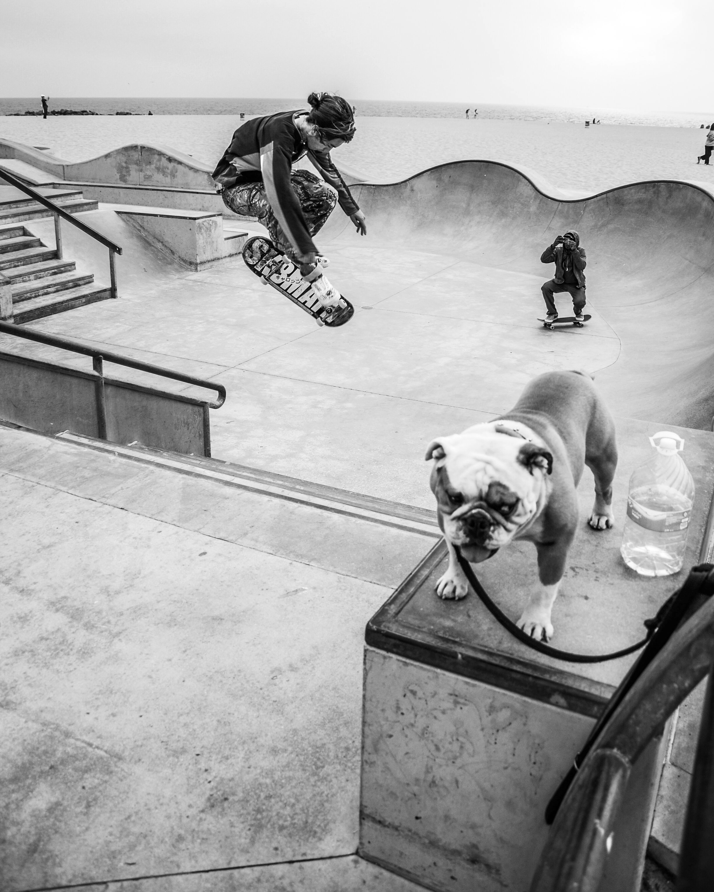 Dog Town.jpg