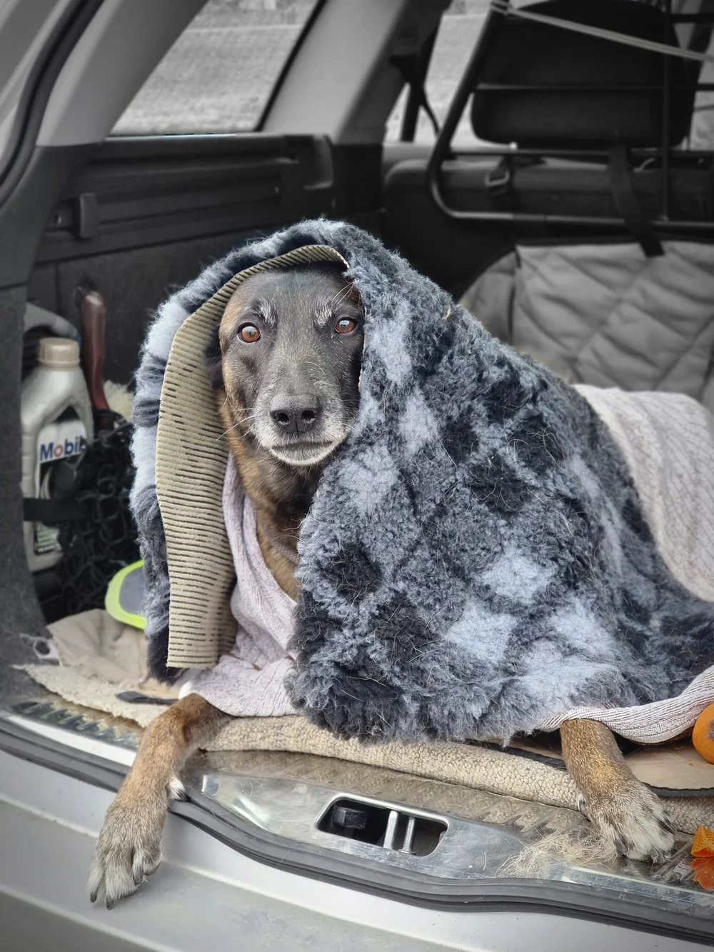 WhatsApp Image 2022-04-19 at 23.57.16.jpeg