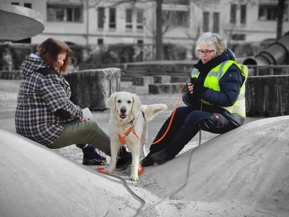 WhatsApp Image 2022-04-19 at 23.58.49.jpeg