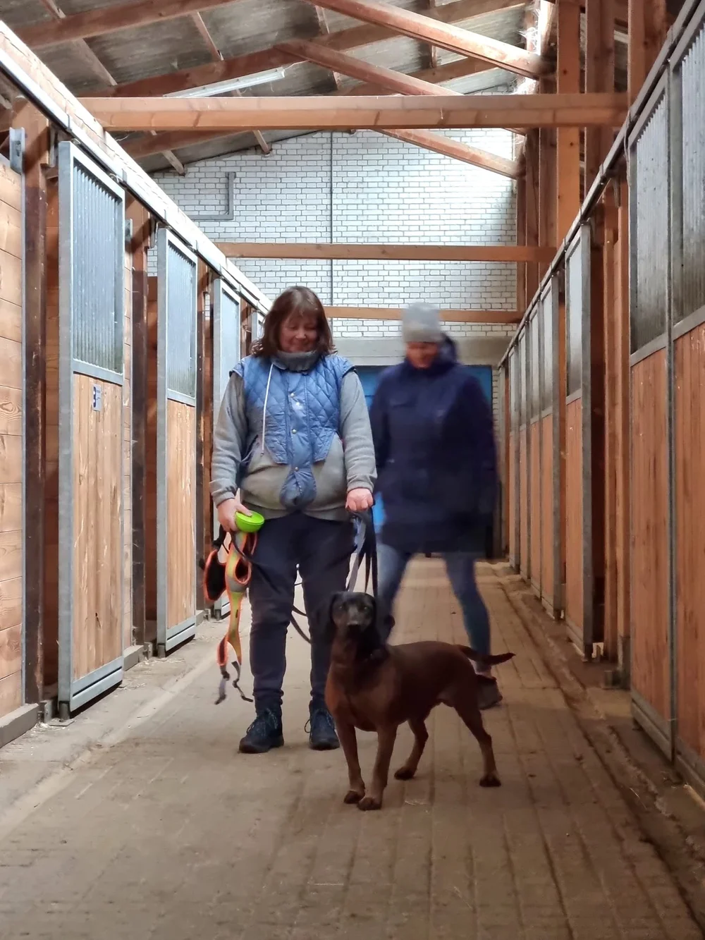 WhatsApp Image 2022-04-19 at 23.58.51 (1).jpeg