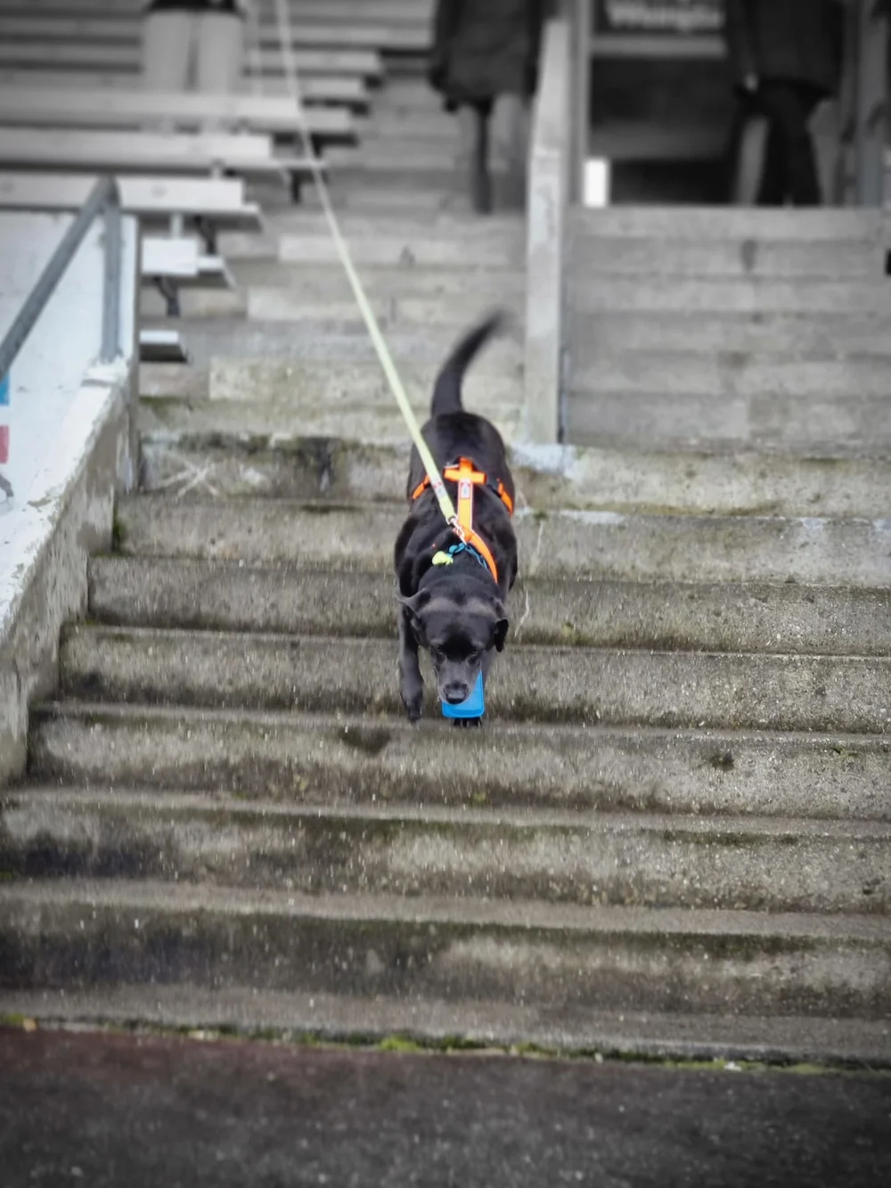 WhatsApp Image 2022-04-19 at 23.58.52 (1).jpeg