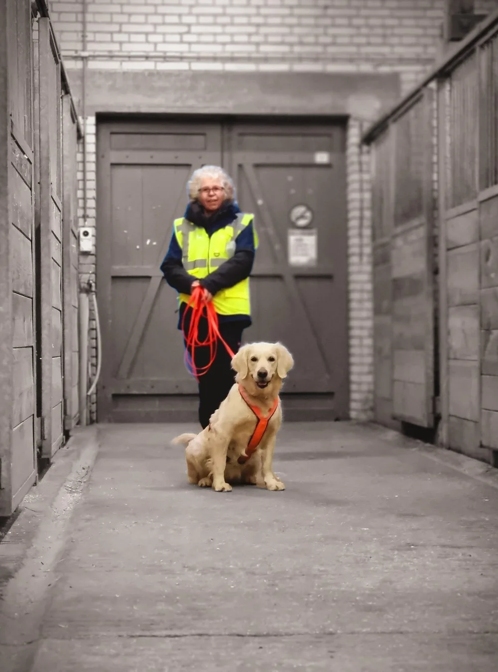 WhatsApp Image 2022-04-19 at 23.58.52.jpeg