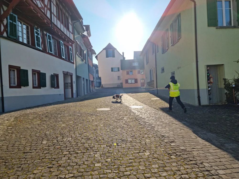 WhatsApp Image 2022-04-19 at 23.58.54.jpeg