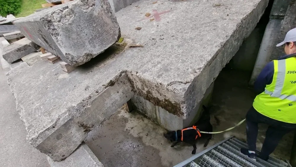 WhatsApp Image 2022-05-09 at 17.09.35 (1).jpeg