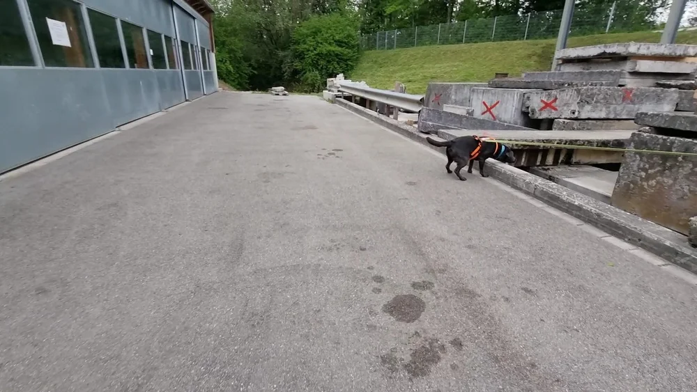 WhatsApp Image 2022-05-09 at 17.09.34.jpeg