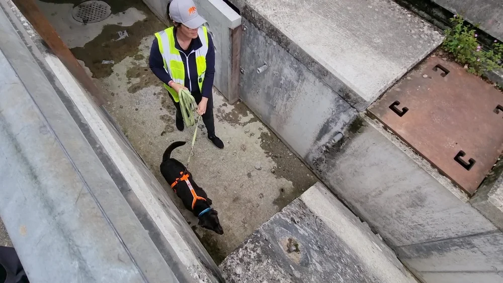 WhatsApp Image 2022-05-09 at 17.09.36 (1).jpeg