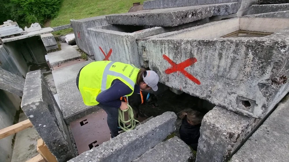 WhatsApp Image 2022-05-09 at 17.09.36.jpeg