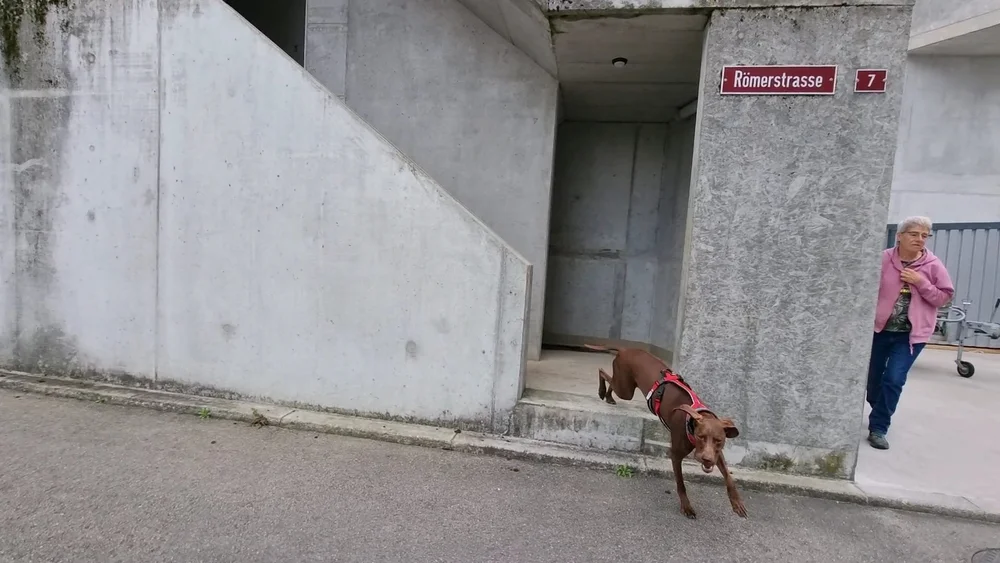 WhatsApp Image 2022-05-09 at 17.09.38.jpeg