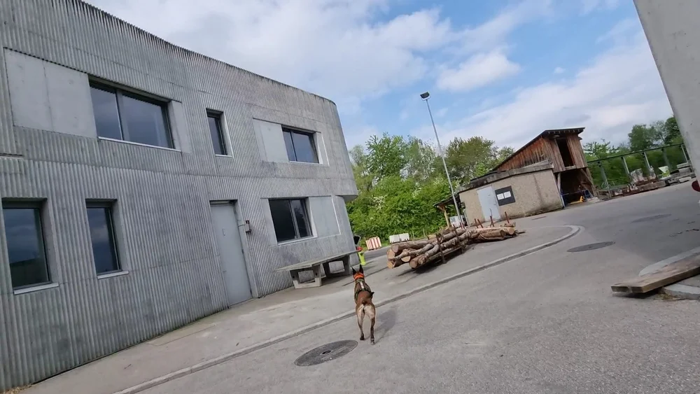 WhatsApp Image 2022-05-09 at 17.09.39.jpeg