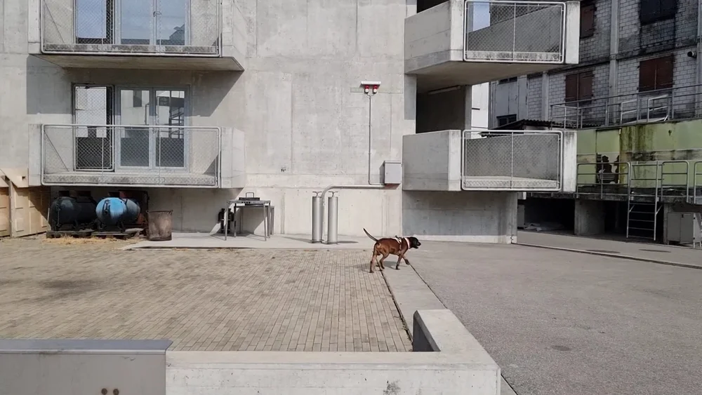 WhatsApp Image 2022-05-09 at 17.09.41.jpeg