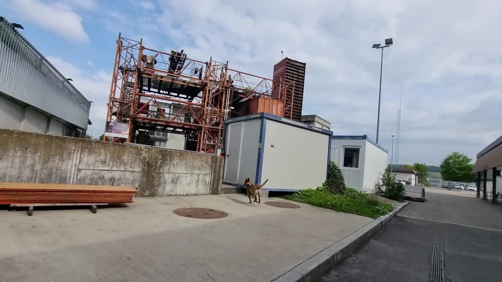 WhatsApp Image 2022-05-09 at 17.09.42.jpeg