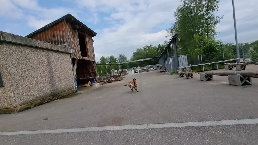 WhatsApp Image 2022-05-09 at 17.09.44 (1).jpeg