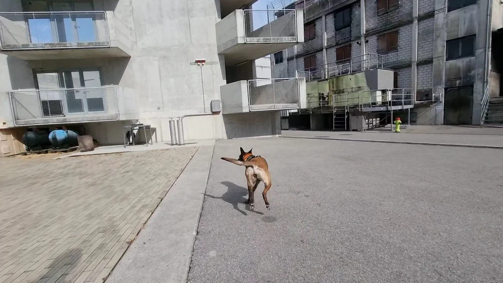 WhatsApp Image 2022-05-09 at 17.09.44 (2).jpeg