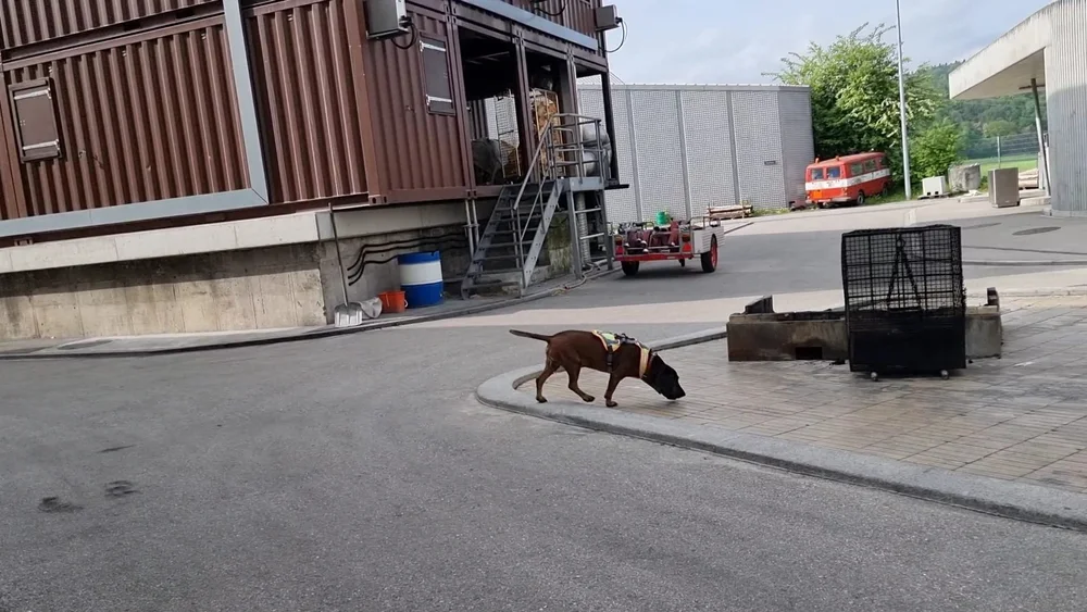 WhatsApp Image 2022-05-09 at 17.09.47 (1).jpeg