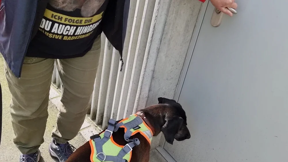 WhatsApp Image 2022-05-09 at 17.09.48 (1).jpeg